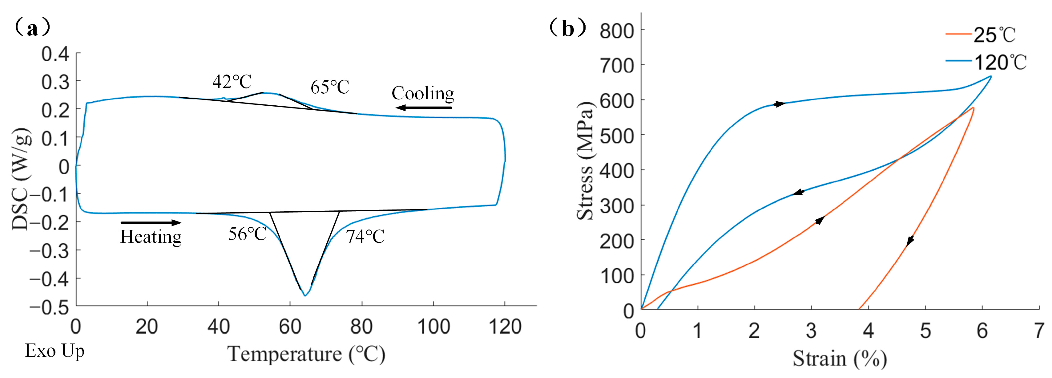Biomimetics 08 00261 g005
