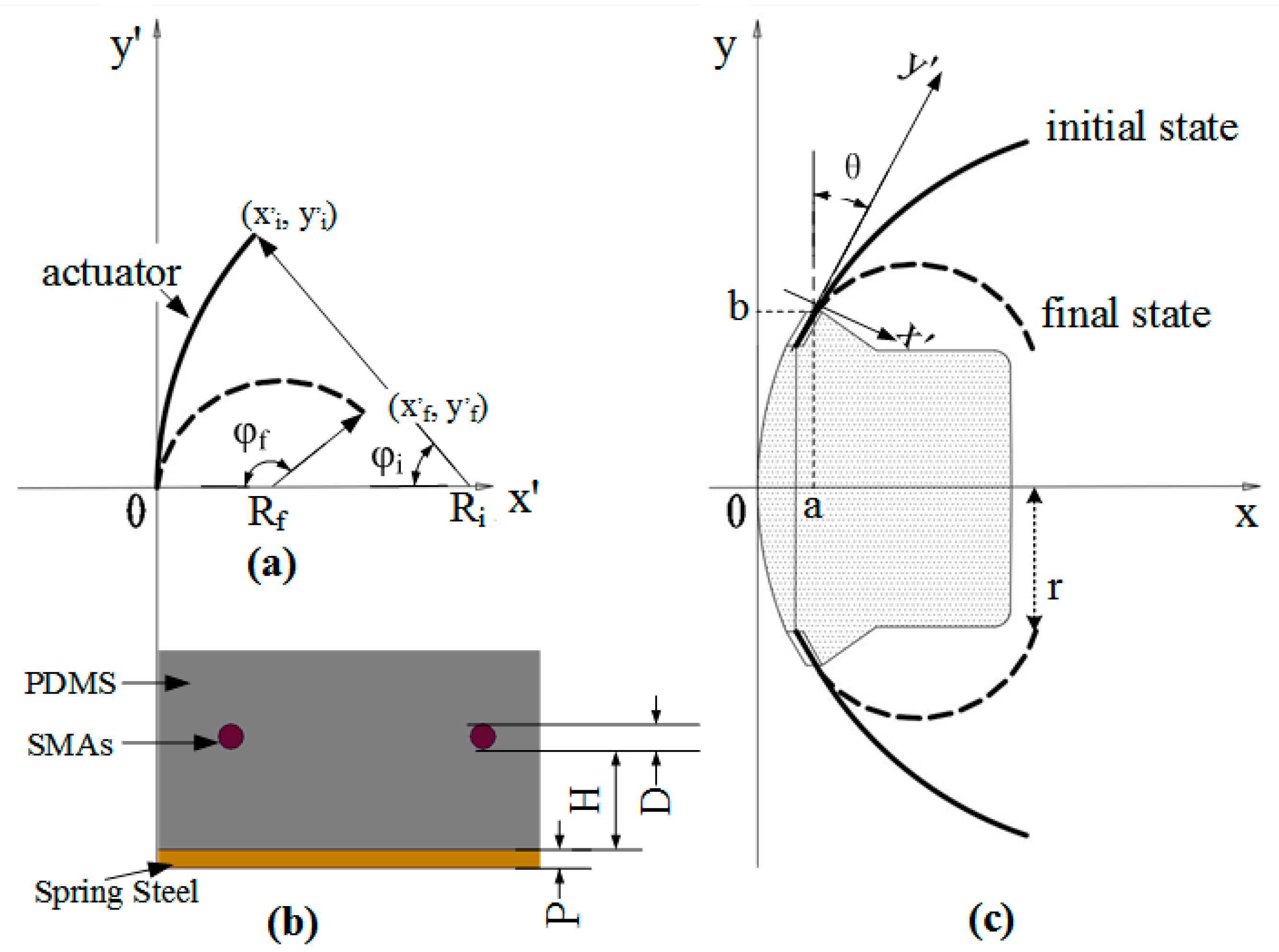 Biomimetics 08 00261 g006