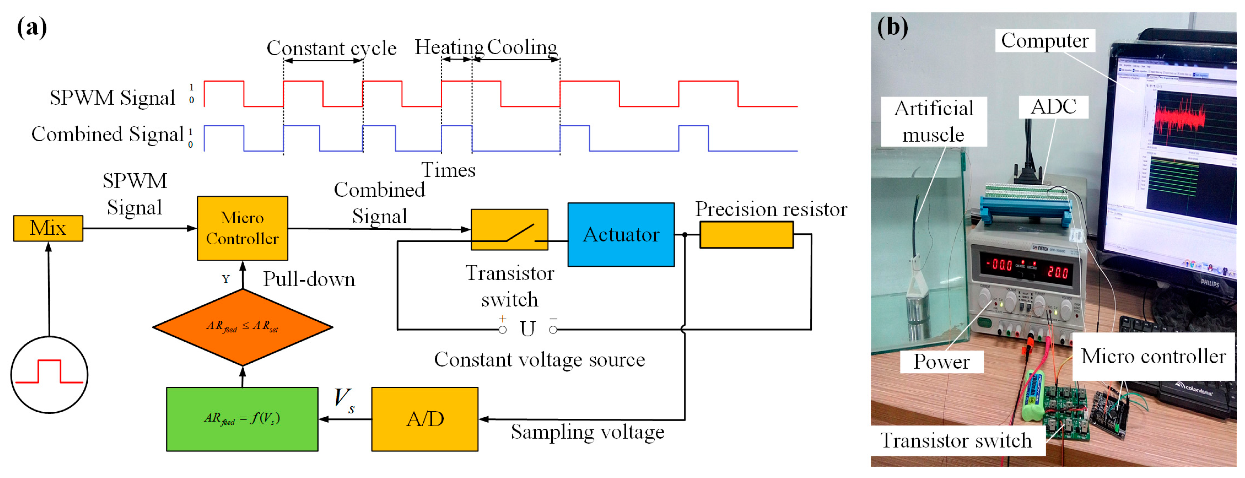 Biomimetics 08 00261 g010