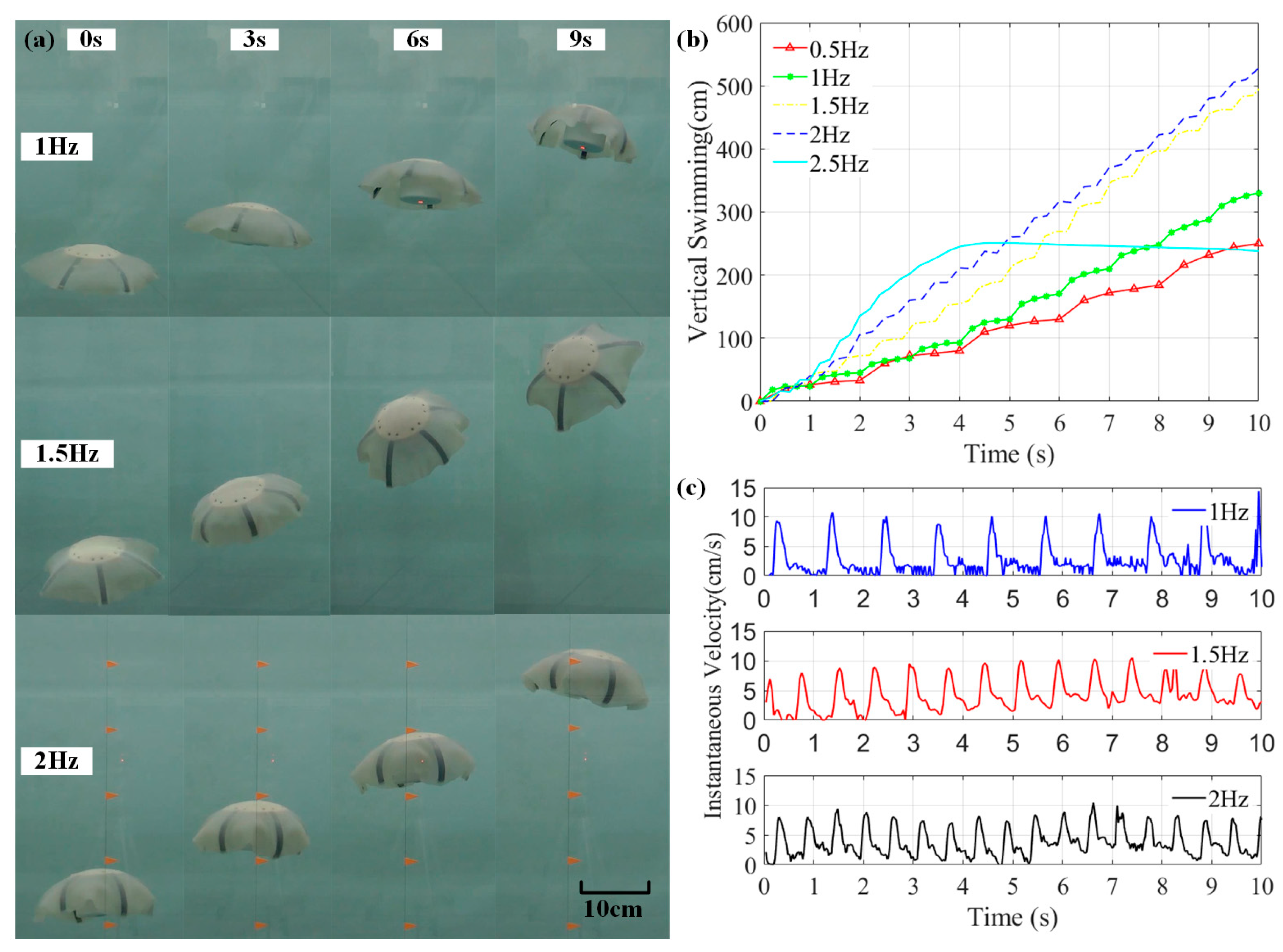 Biomimetics 08 00261 g012