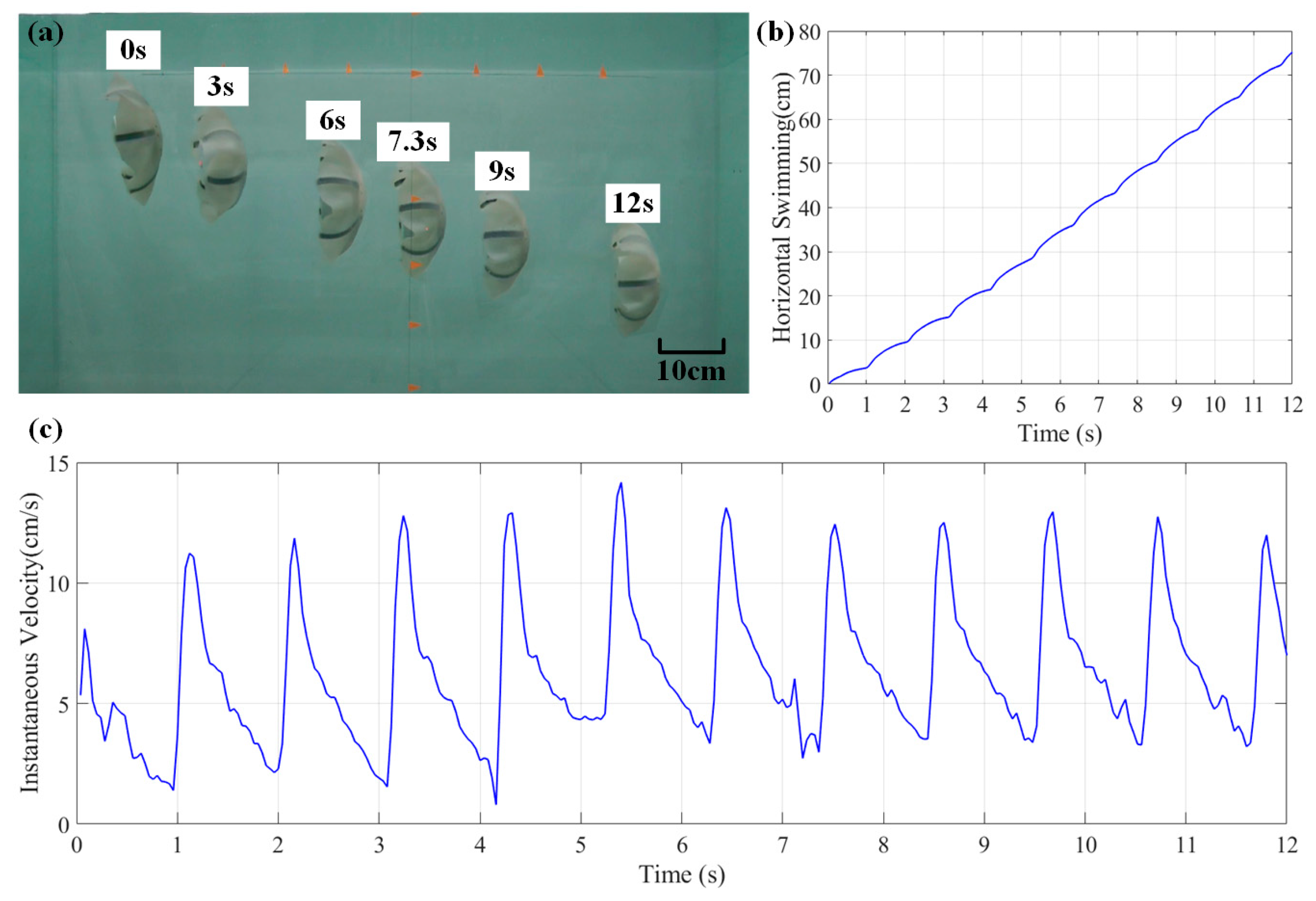Biomimetics 08 00261 g013