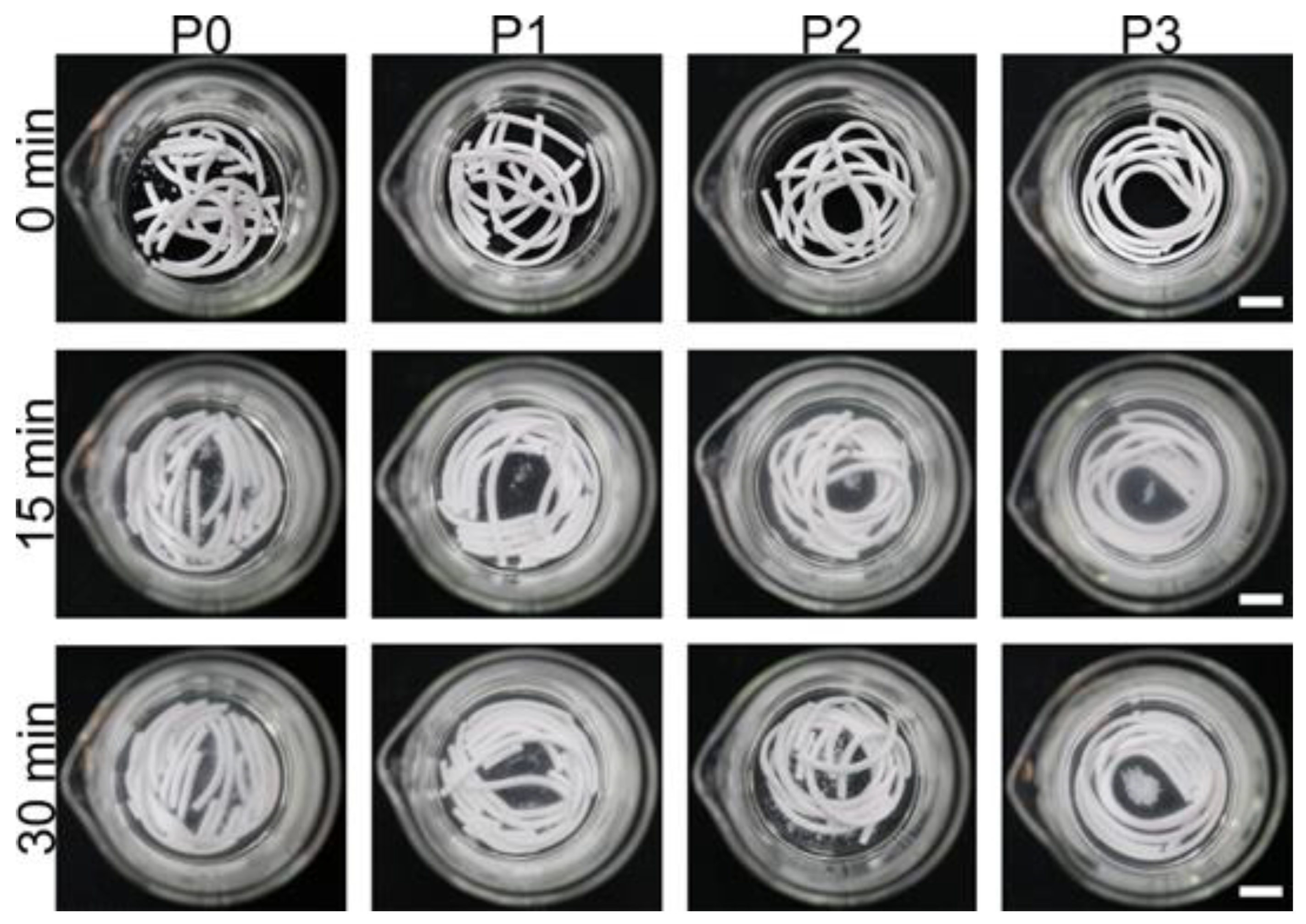 Biomimetics 08 00262 g001