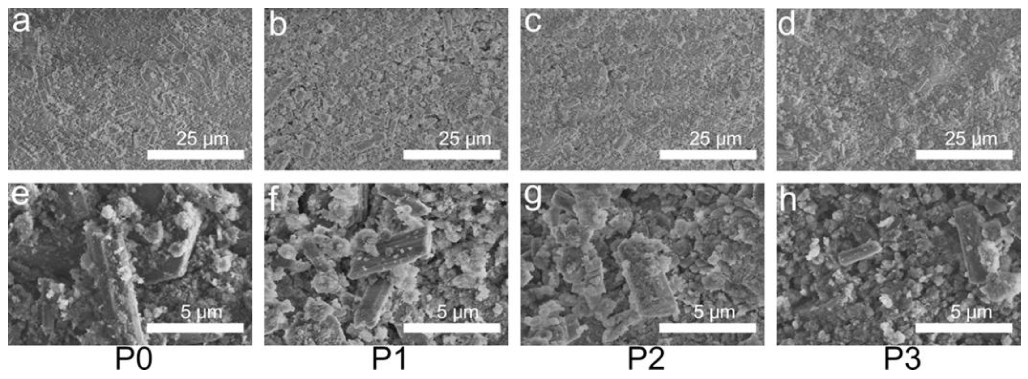 Biomimetics 08 00262 g006