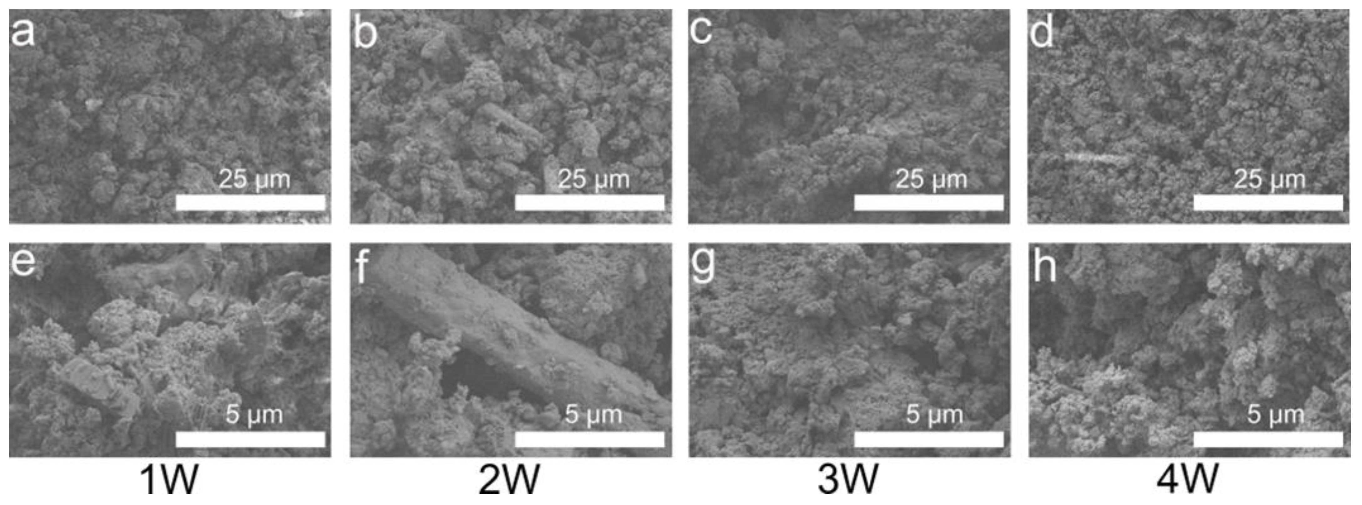 Biomimetics 08 00262 g007
