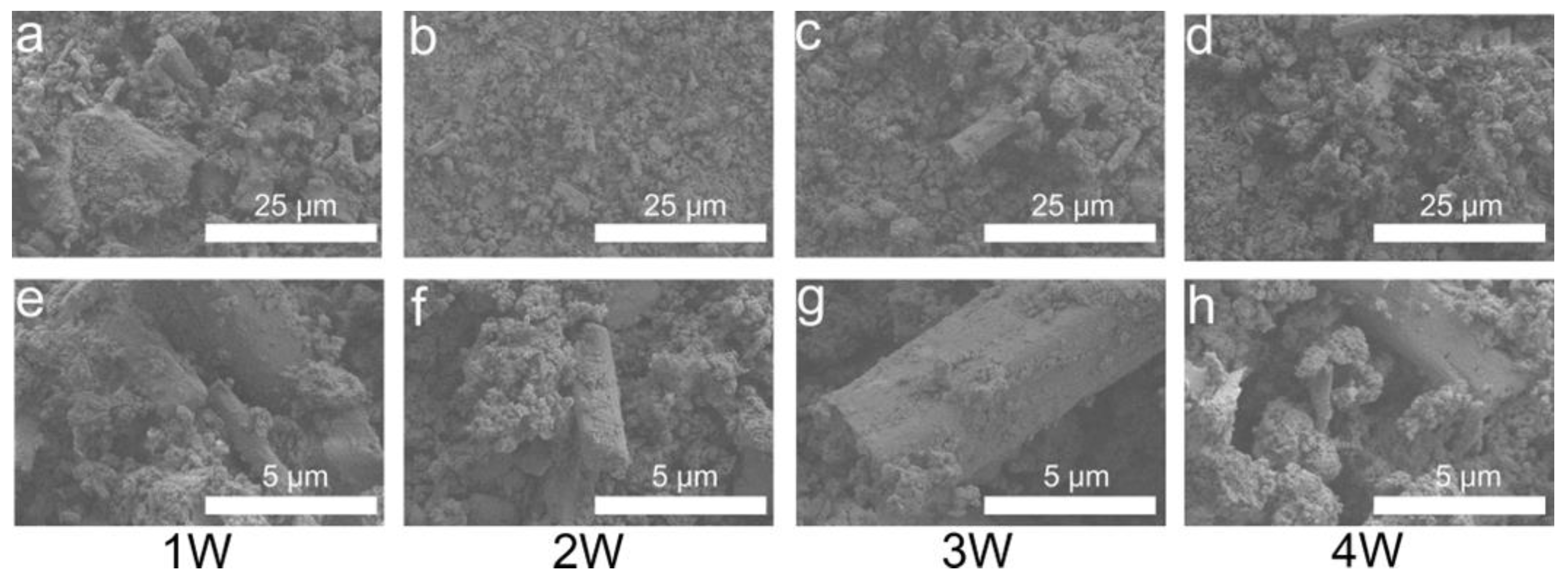 Biomimetics 08 00262 g008