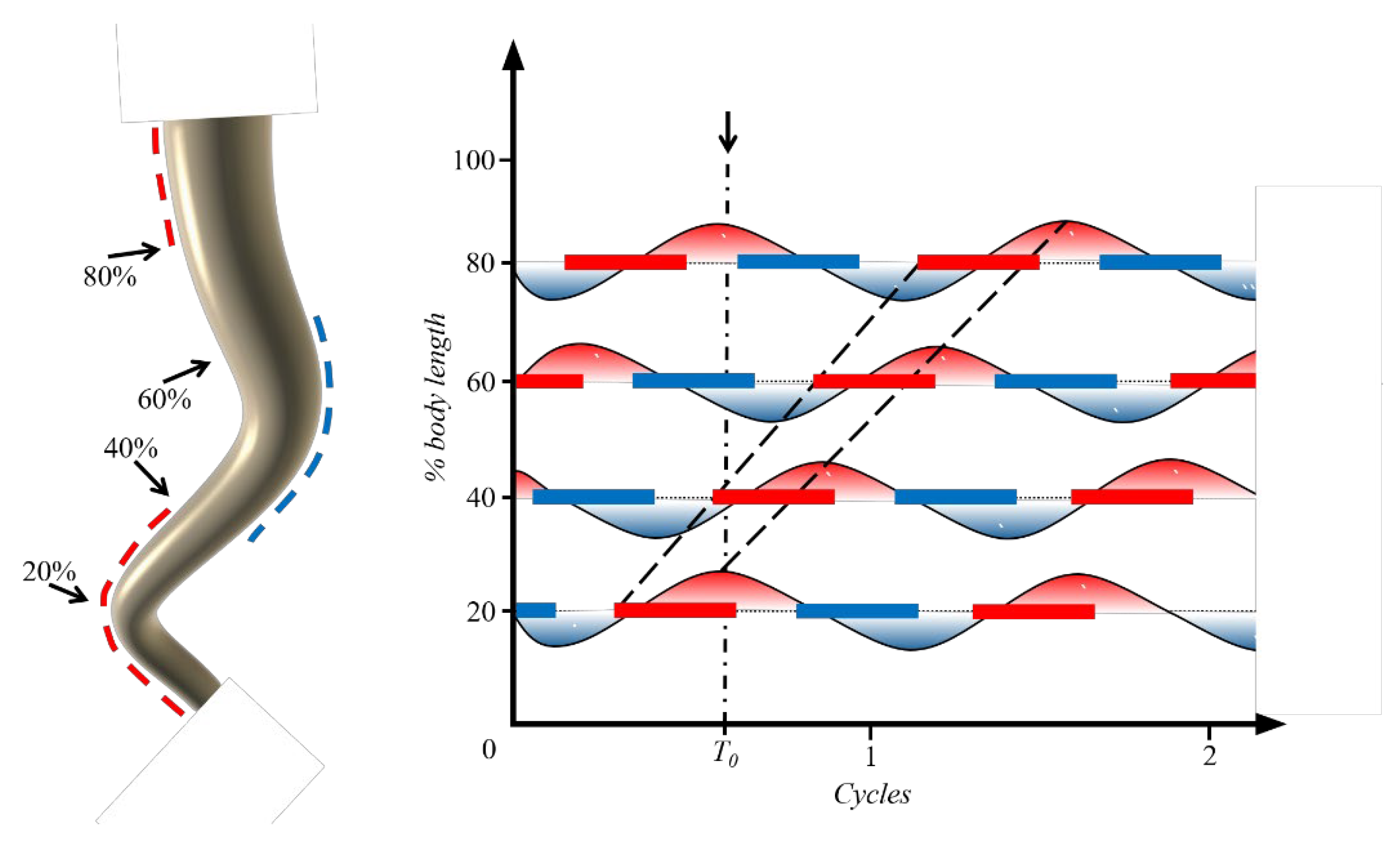 Biomimetics 08 00263 g004 Biomimetics 08 00263 g004