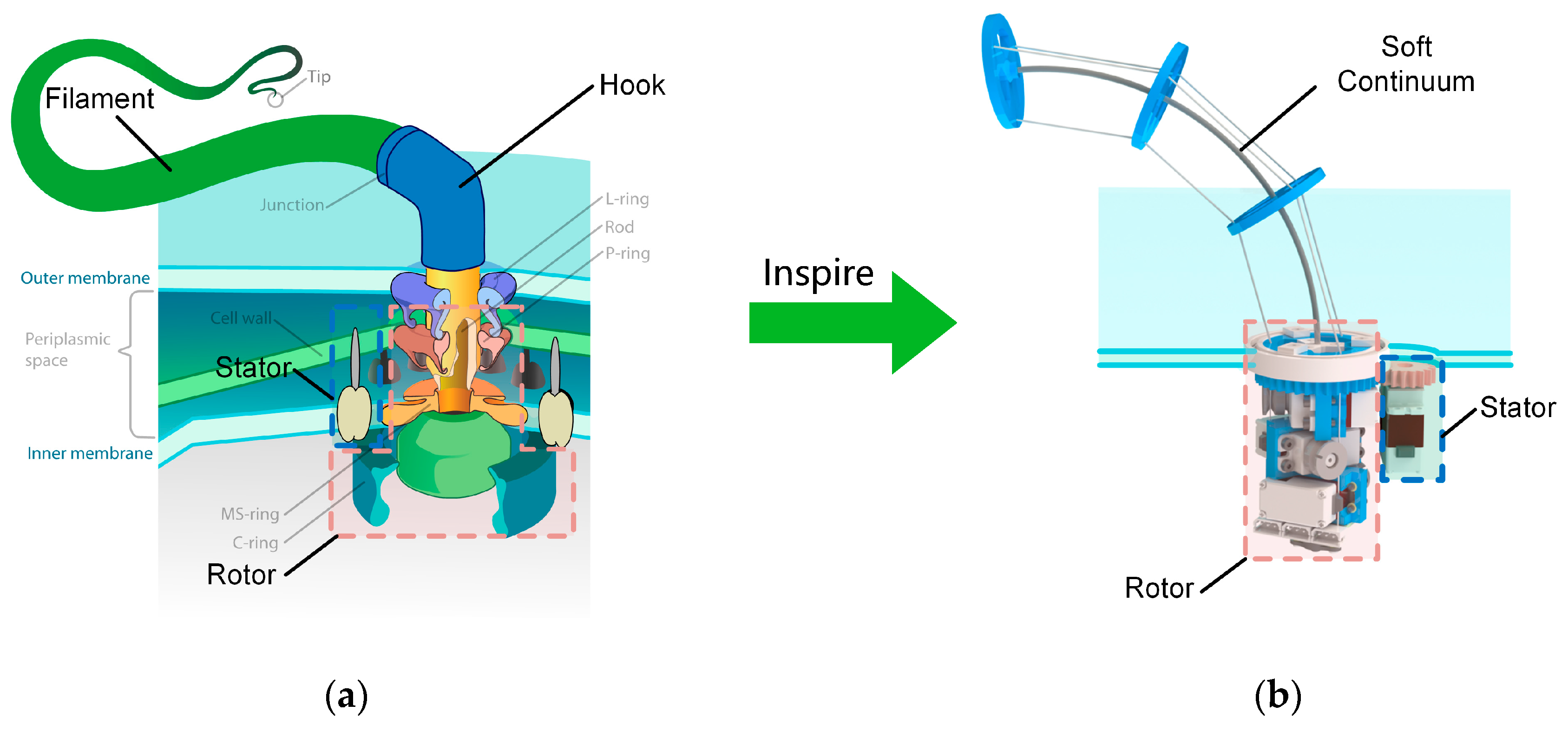 Biomimetics 08 00271 g001