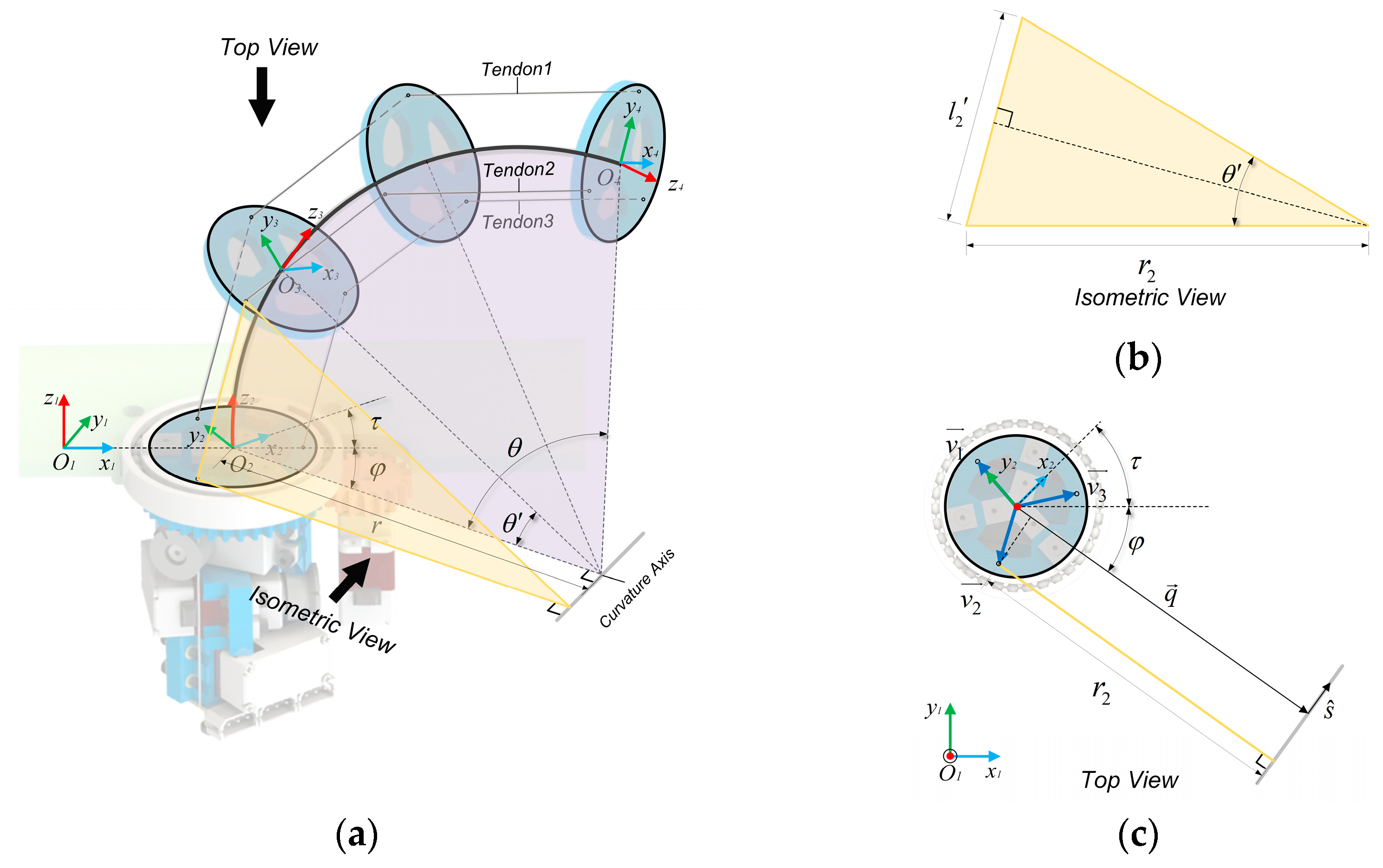 Biomimetics 08 00271 g005