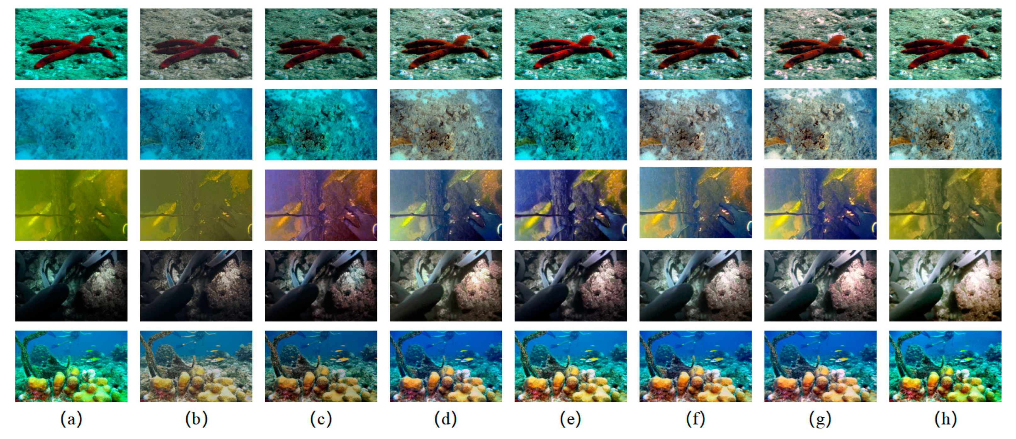 Biomimetics 08 00275 g011 Biomimetics 08 00275 g011