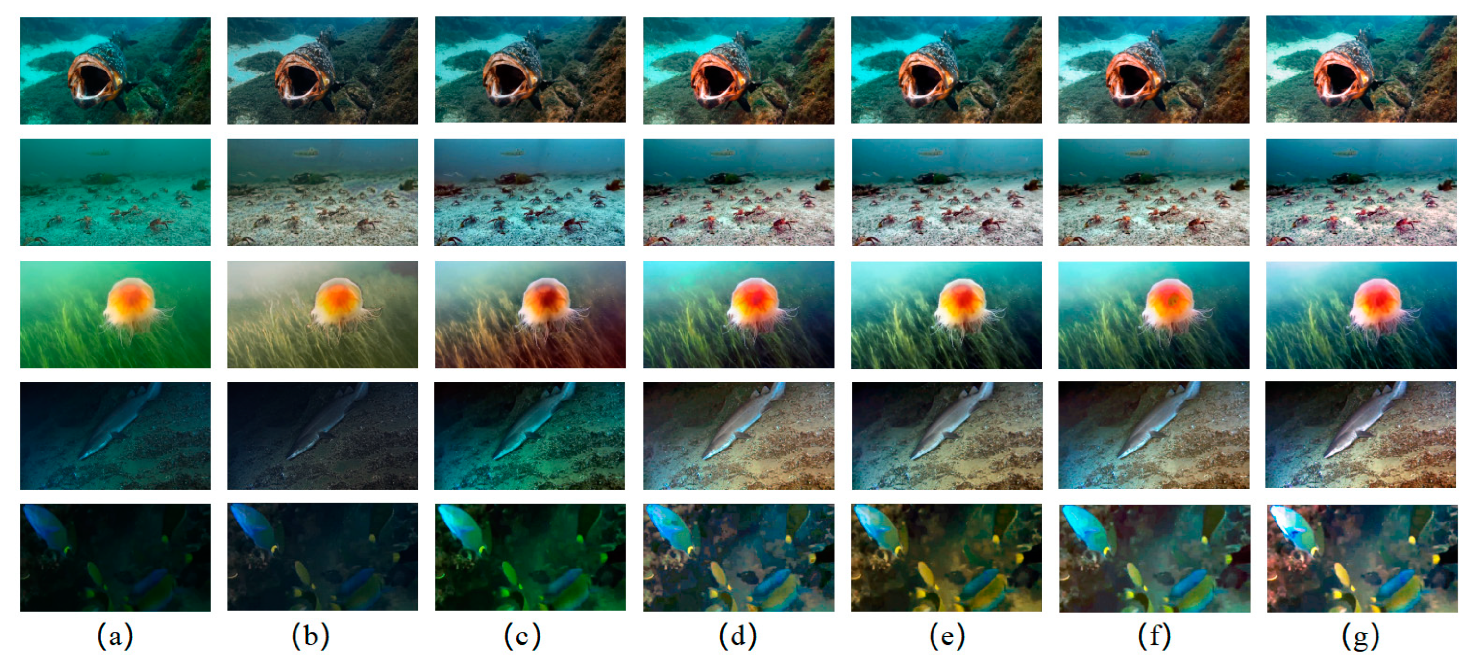 Biomimetics 08 00275 g012 Biomimetics 08 00275 g012