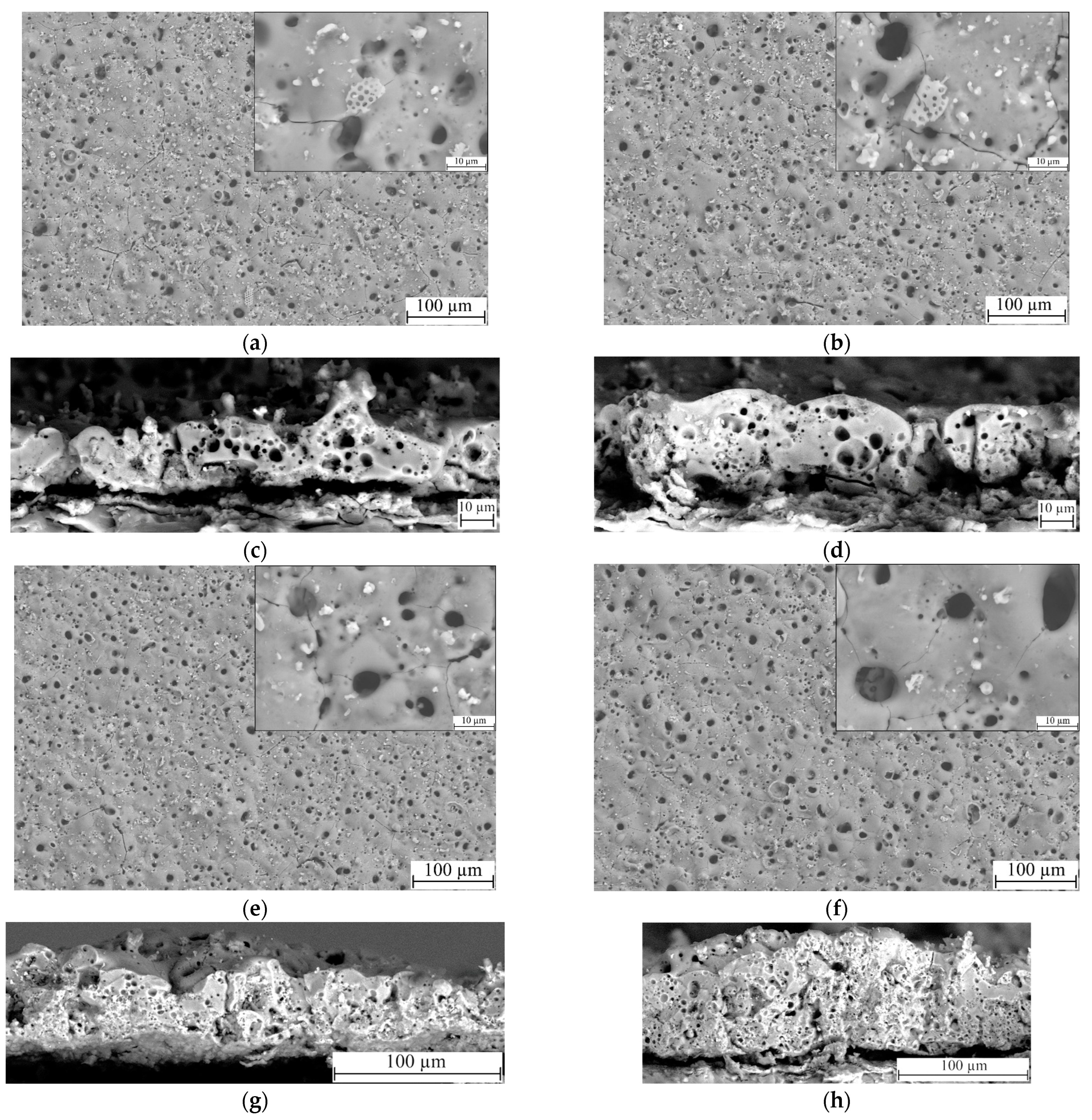 Biomimetics 08 00280 g003