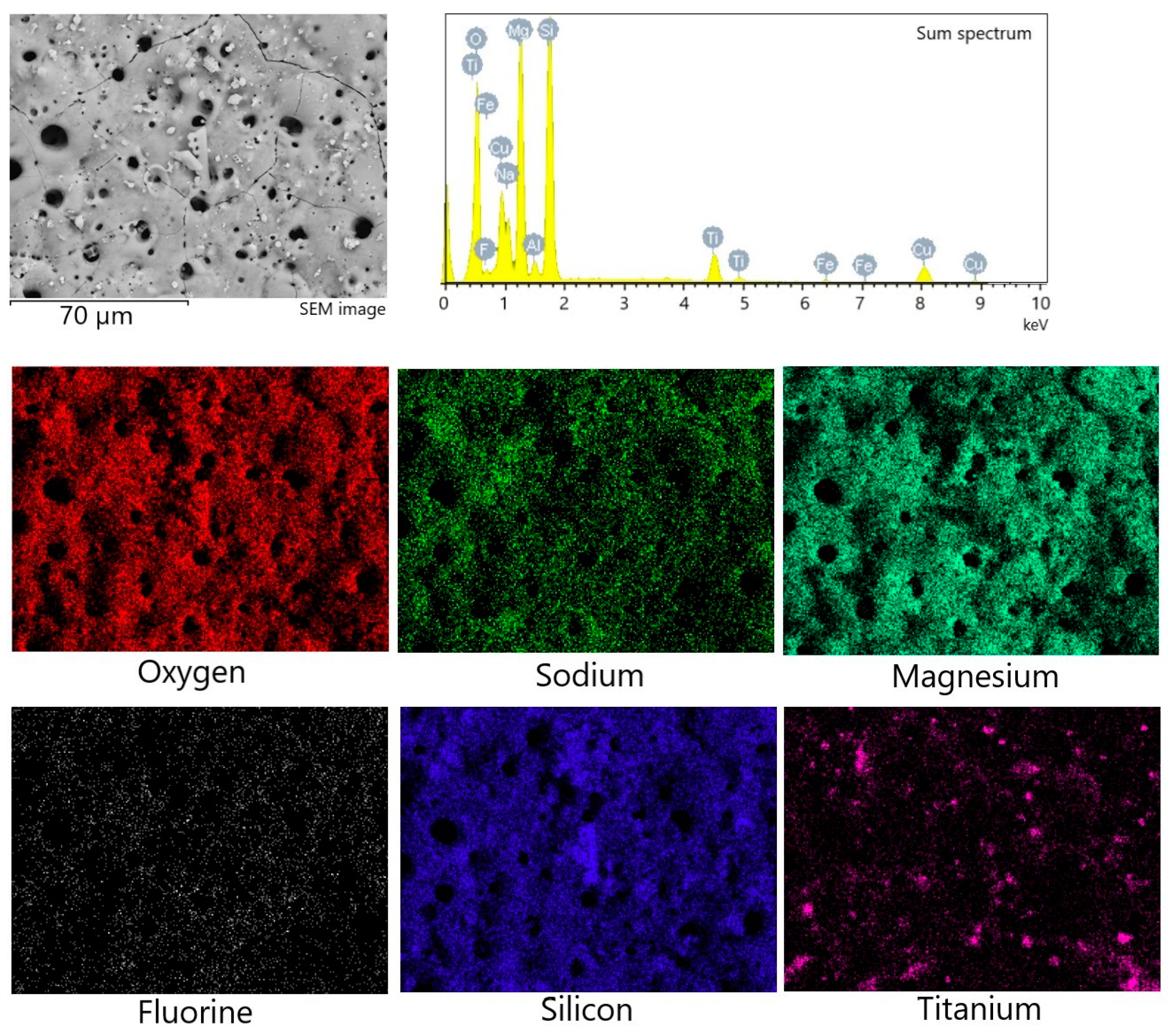Biomimetics 08 00280 g004
