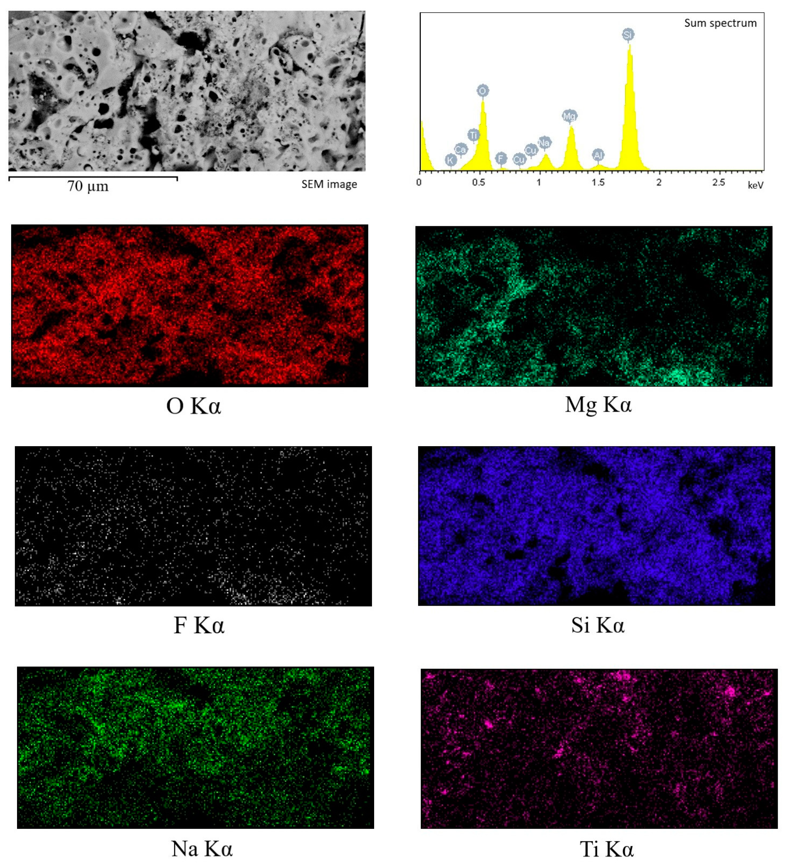 Biomimetics 08 00280 g005