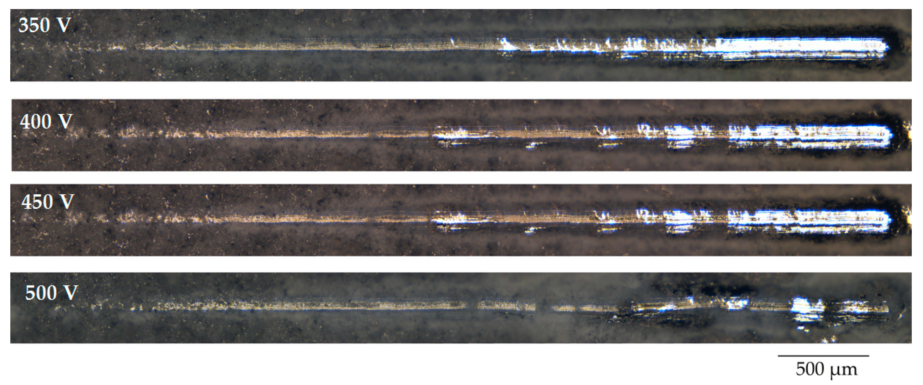 Biomimetics 08 00280 g007