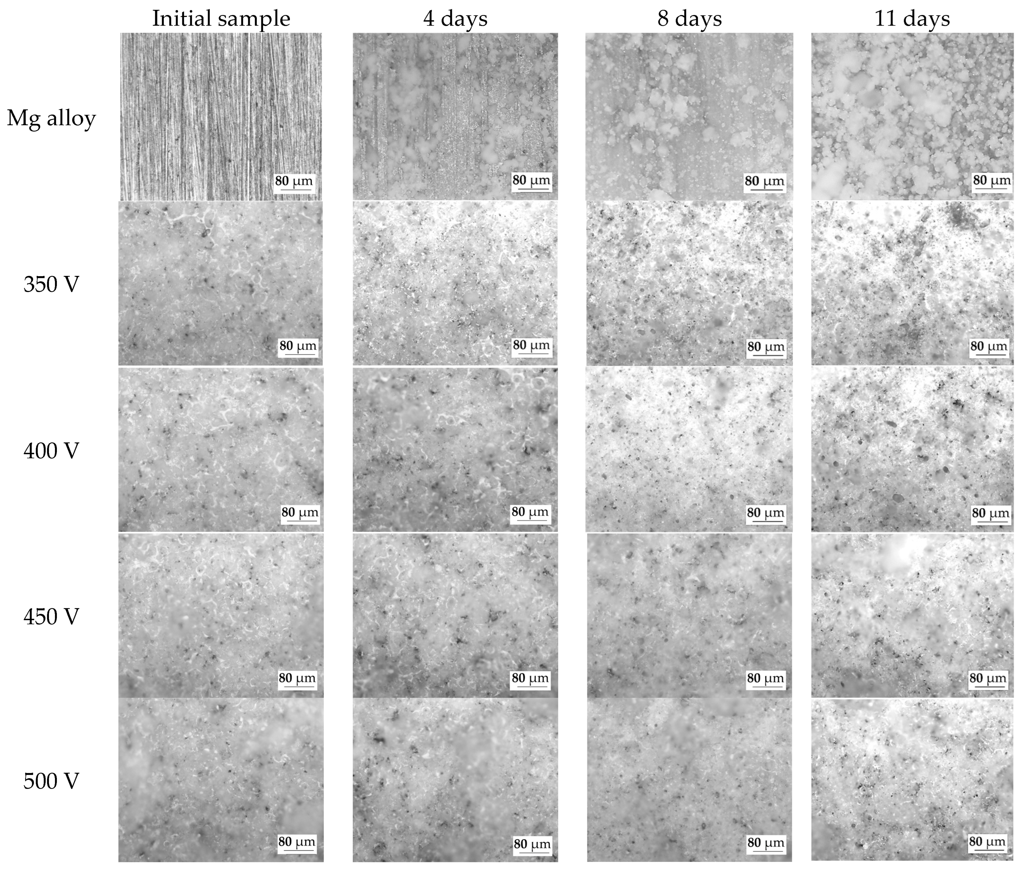 Biomimetics 08 00280 g011