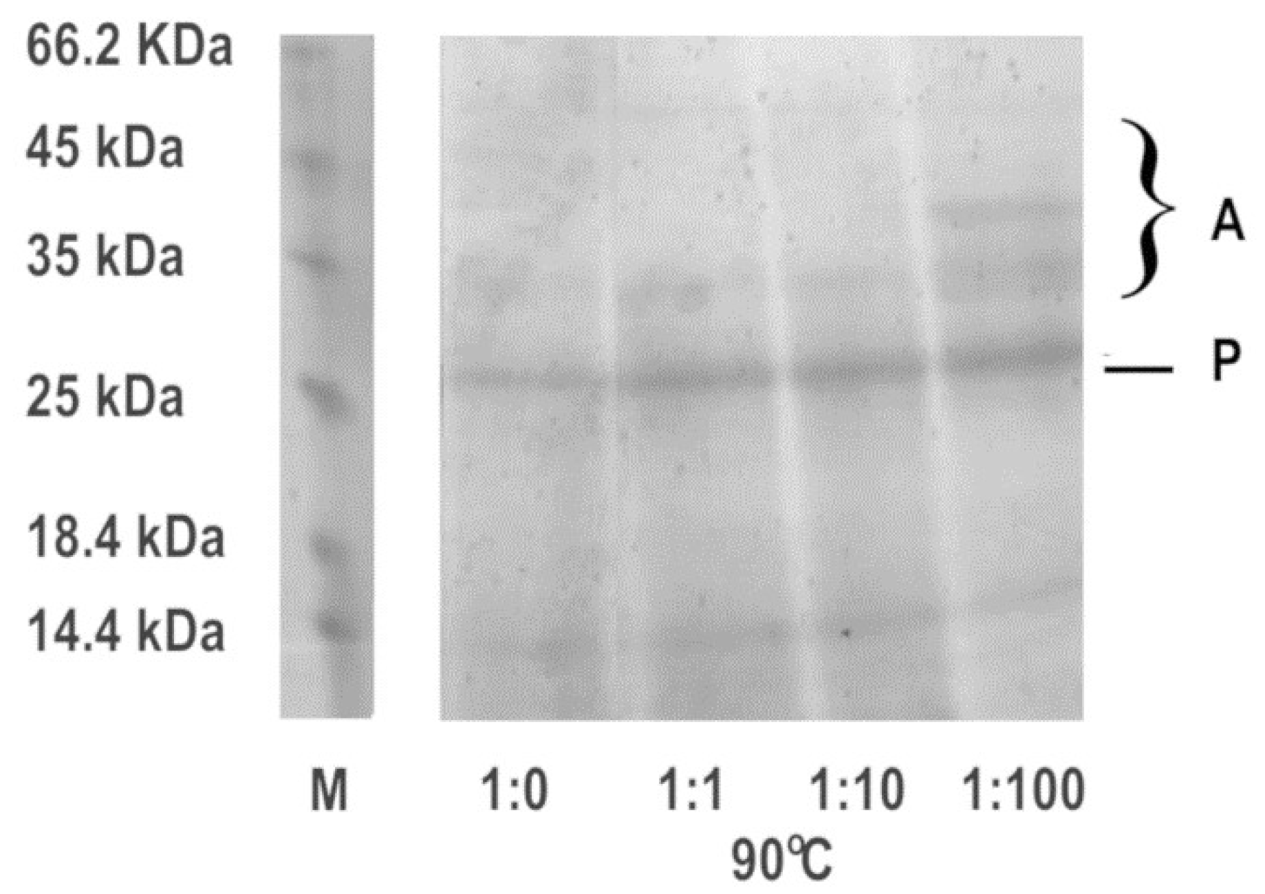 Biomimetics 08 00281 g003