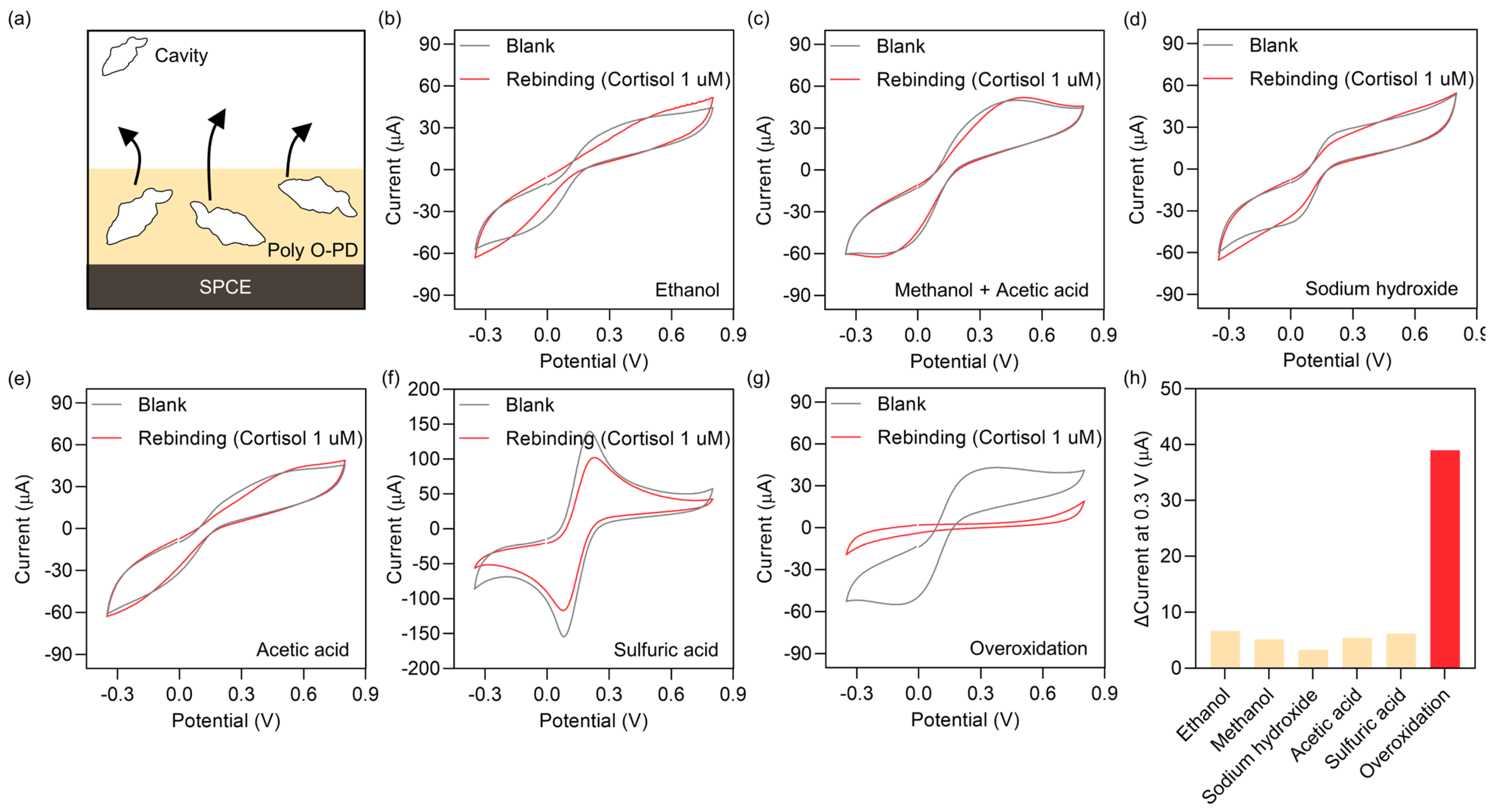Biomimetics 08 00282 g002