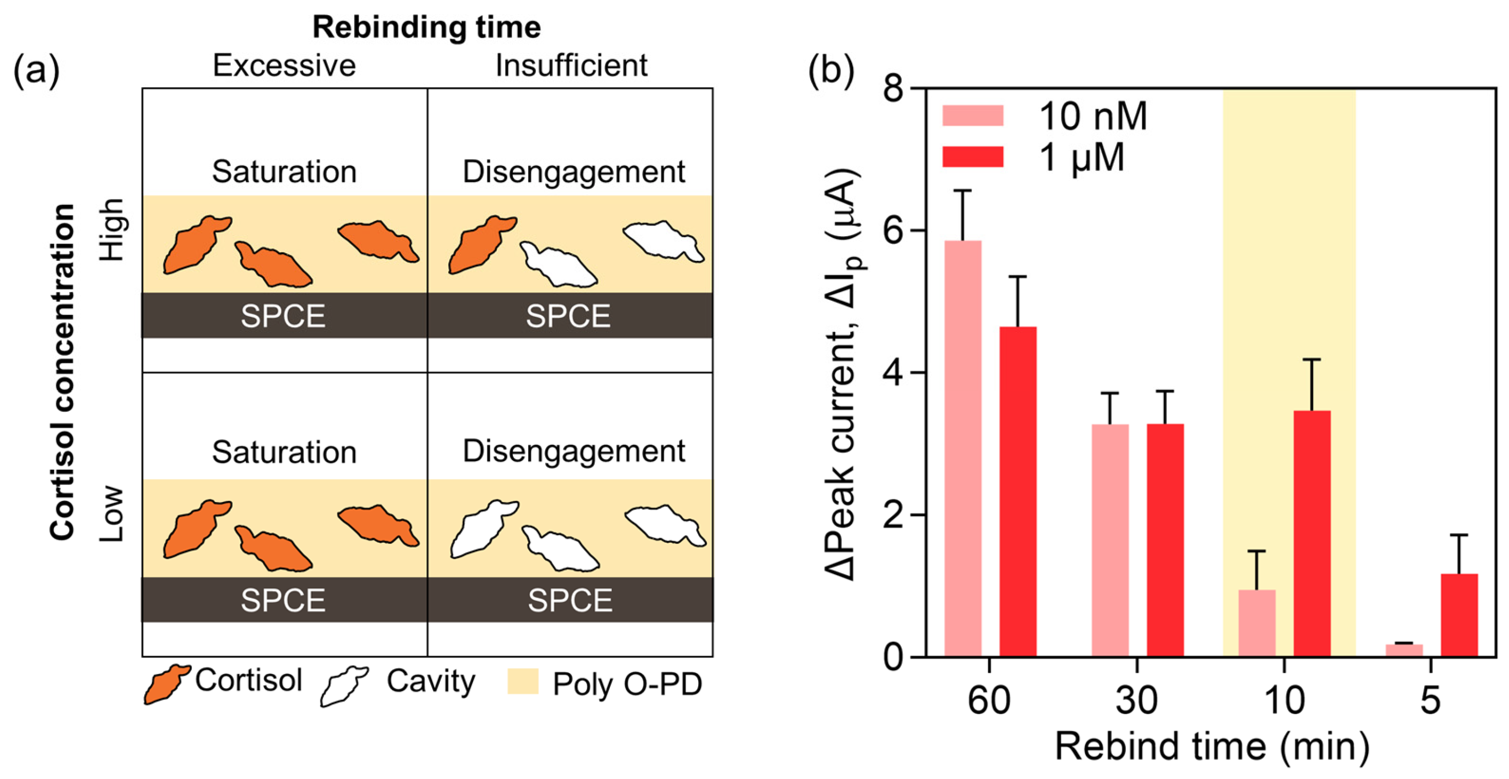Biomimetics 08 00282 g003