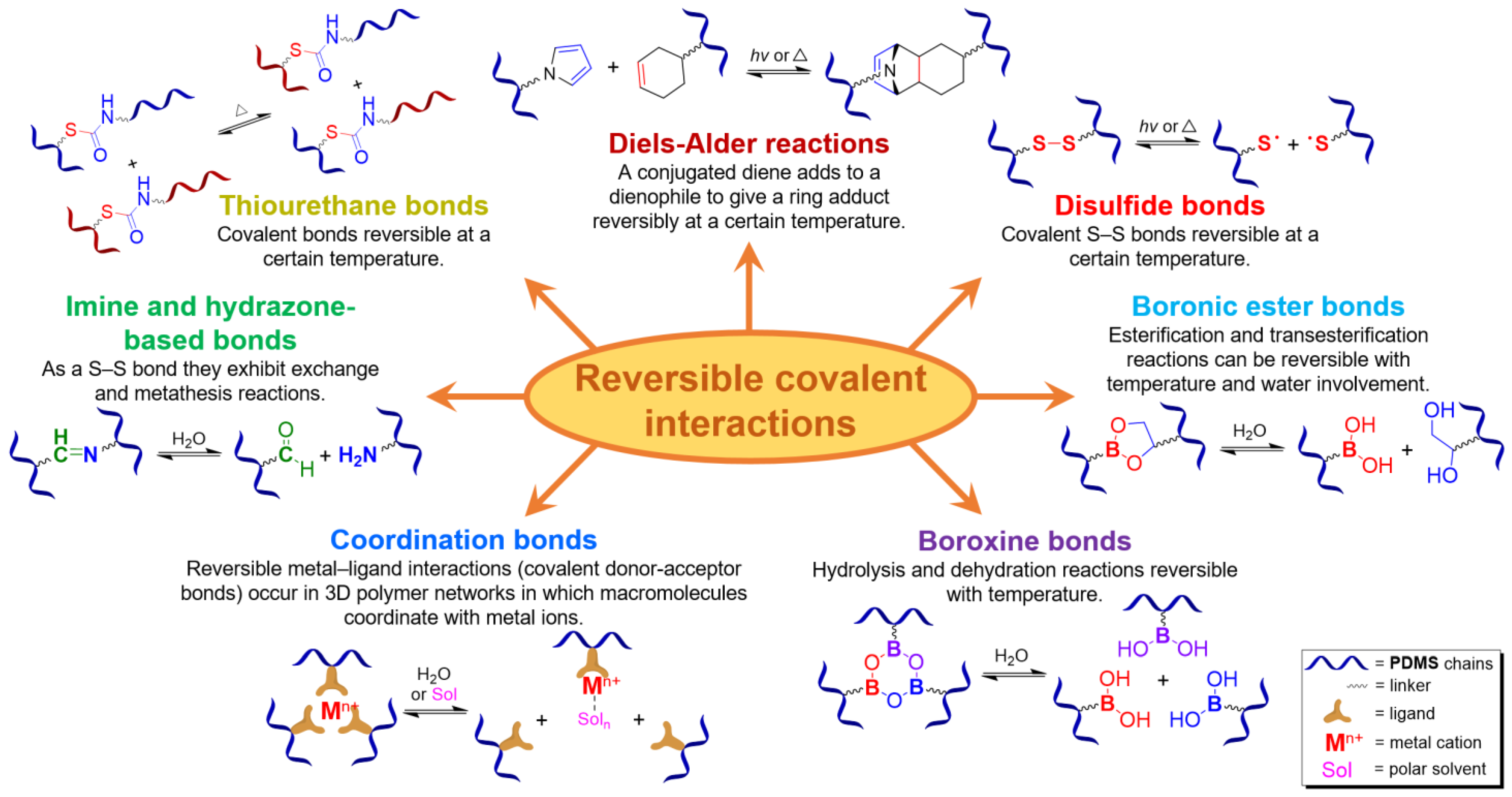 Biomimetics 08 00286 g003