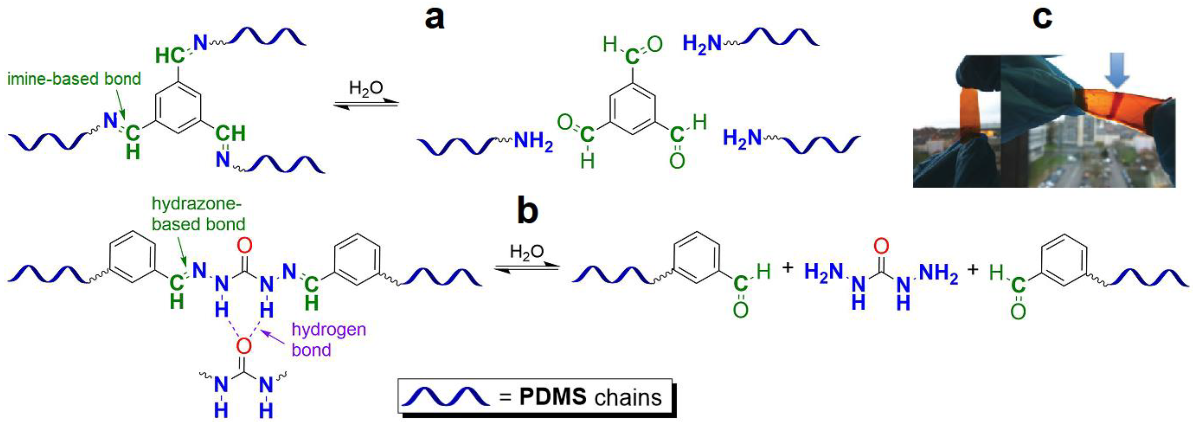 Biomimetics 08 00286 g004