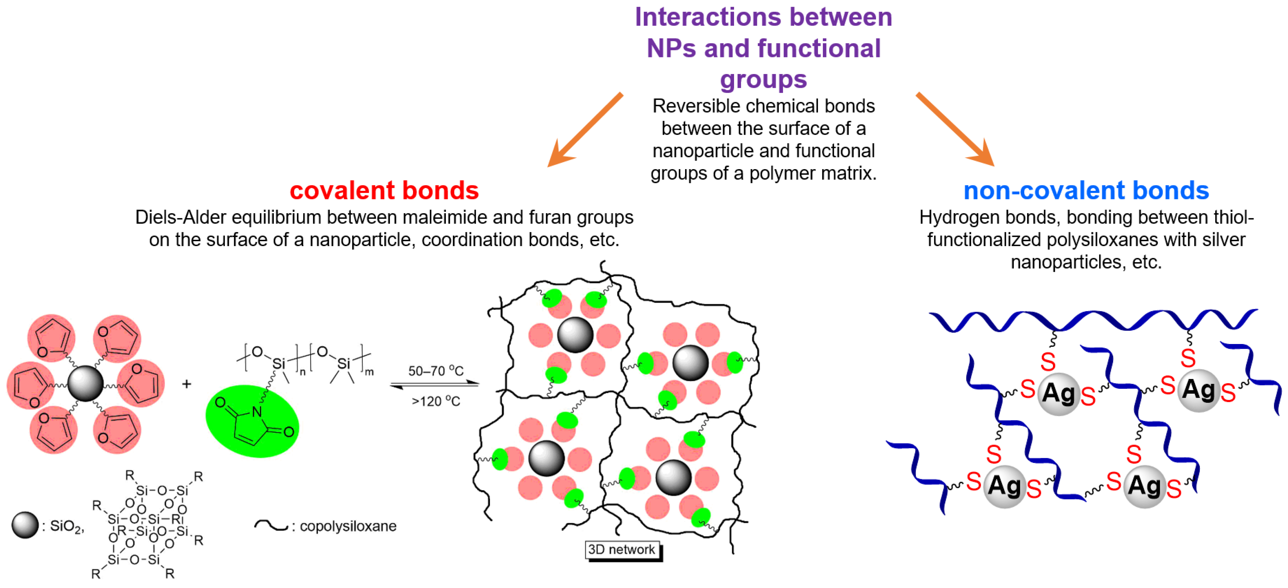 Biomimetics 08 00286 g013