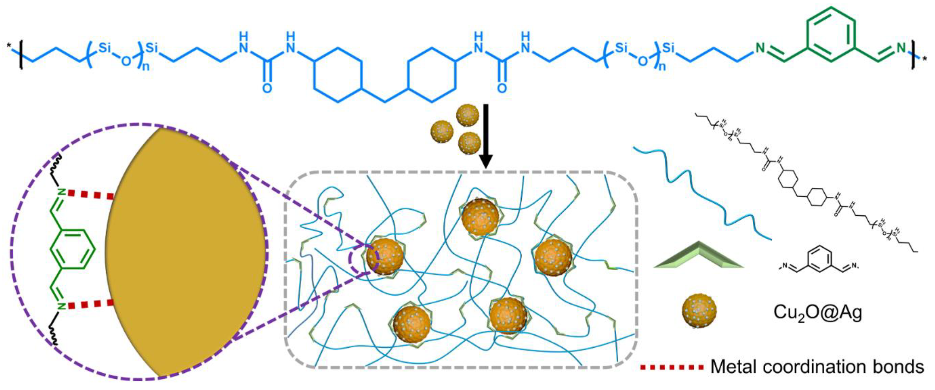 Biomimetics 08 00286 g017