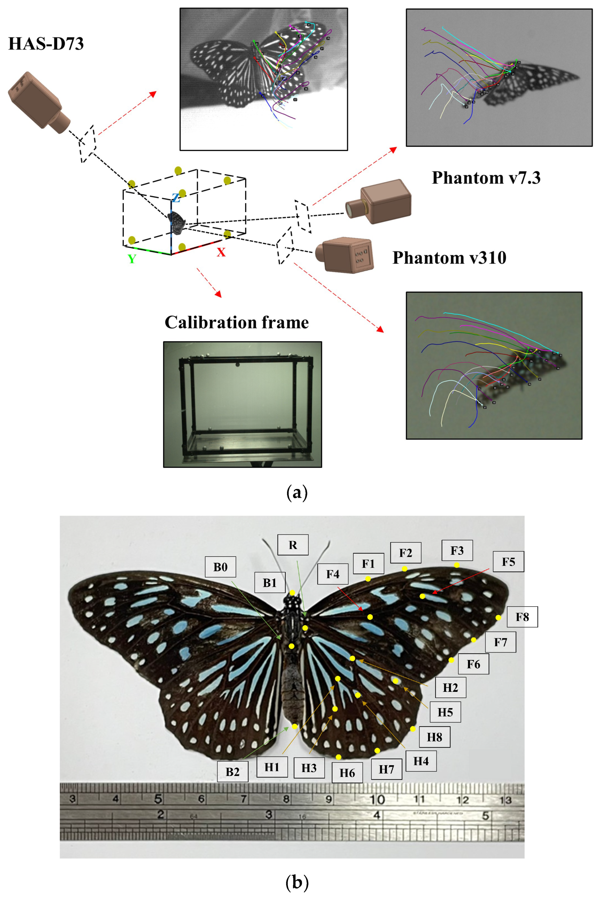 Biomimetics 08 00287 g001 Biomimetics 08 00287 g001