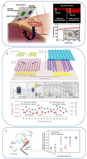 Biomimetics 08 00293 g005