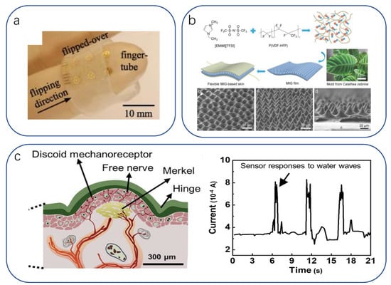 Biomimetics 08 00293 g006