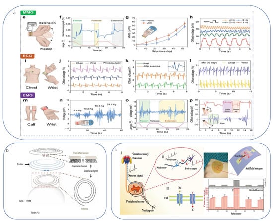 Biomimetics 08 00293 g007