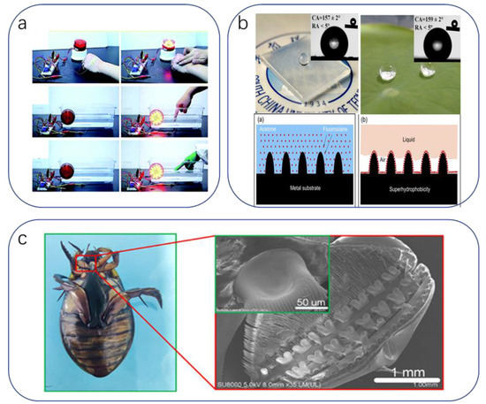 Biomimetics 08 00293 g008
