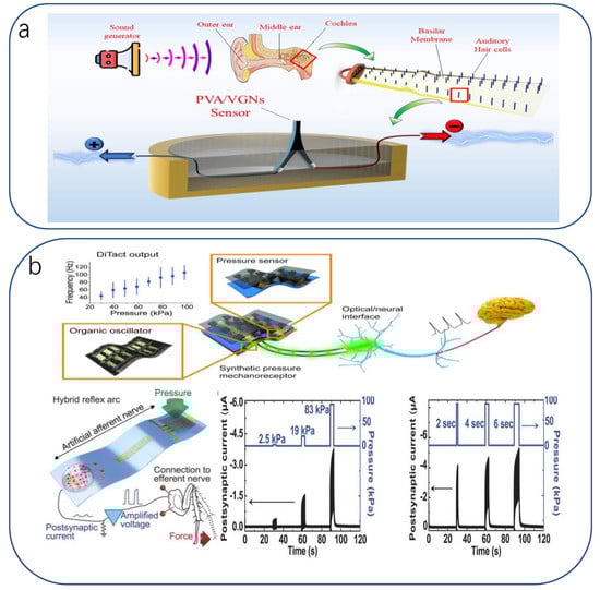 Biomimetics 08 00293 g010