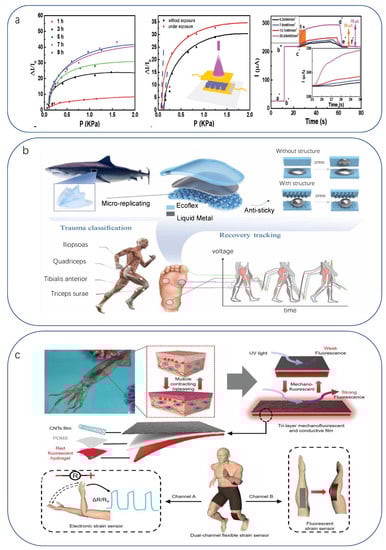 Biomimetics 08 00293 g013