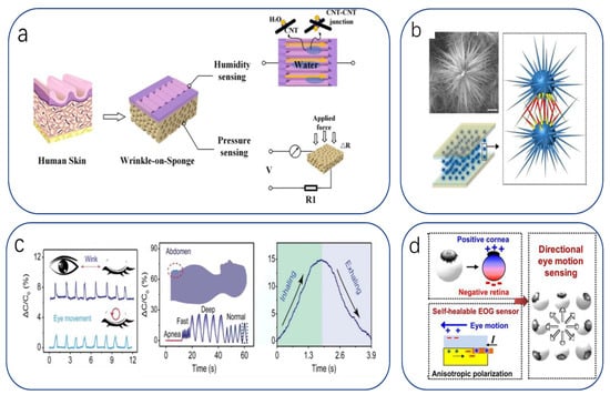 Biomimetics 08 00293 g014