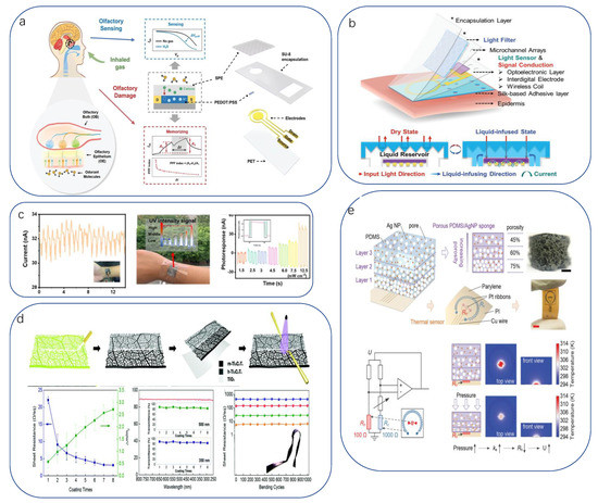 Biomimetics 08 00293 g015
