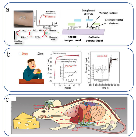 Biomimetics 08 00293 g016