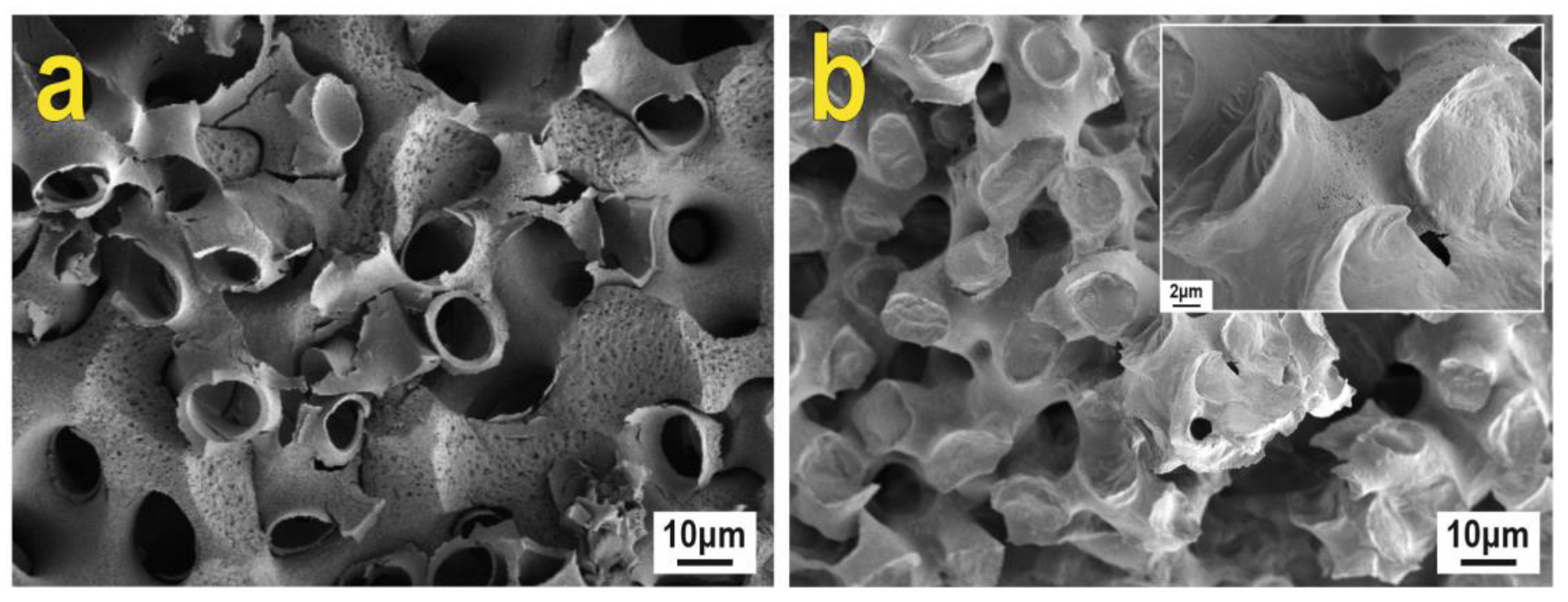 Biomimetics 08 00300 g005