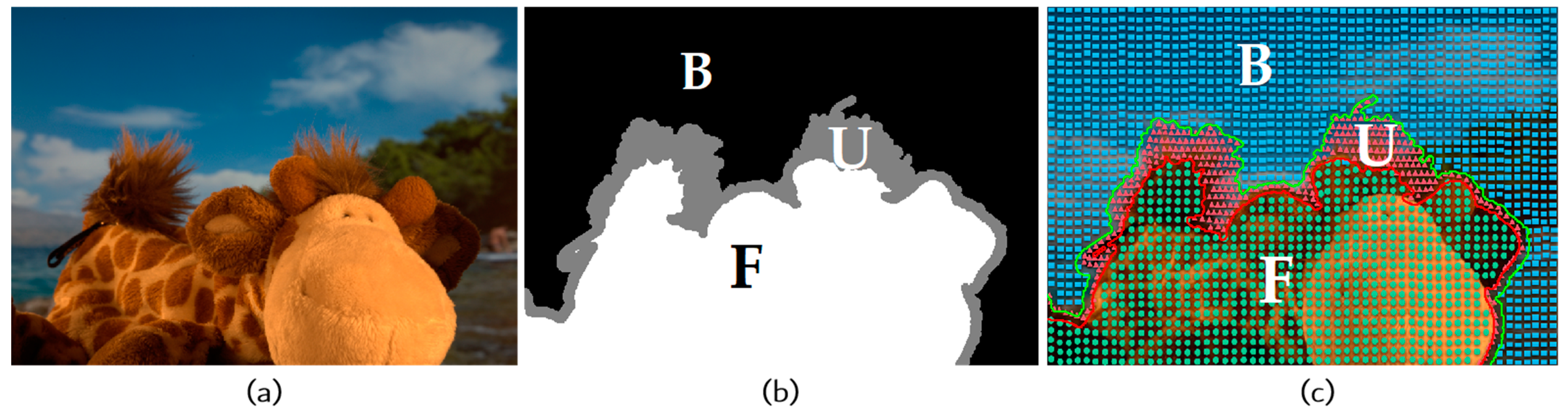 Biomimetics 08 00301 g001
