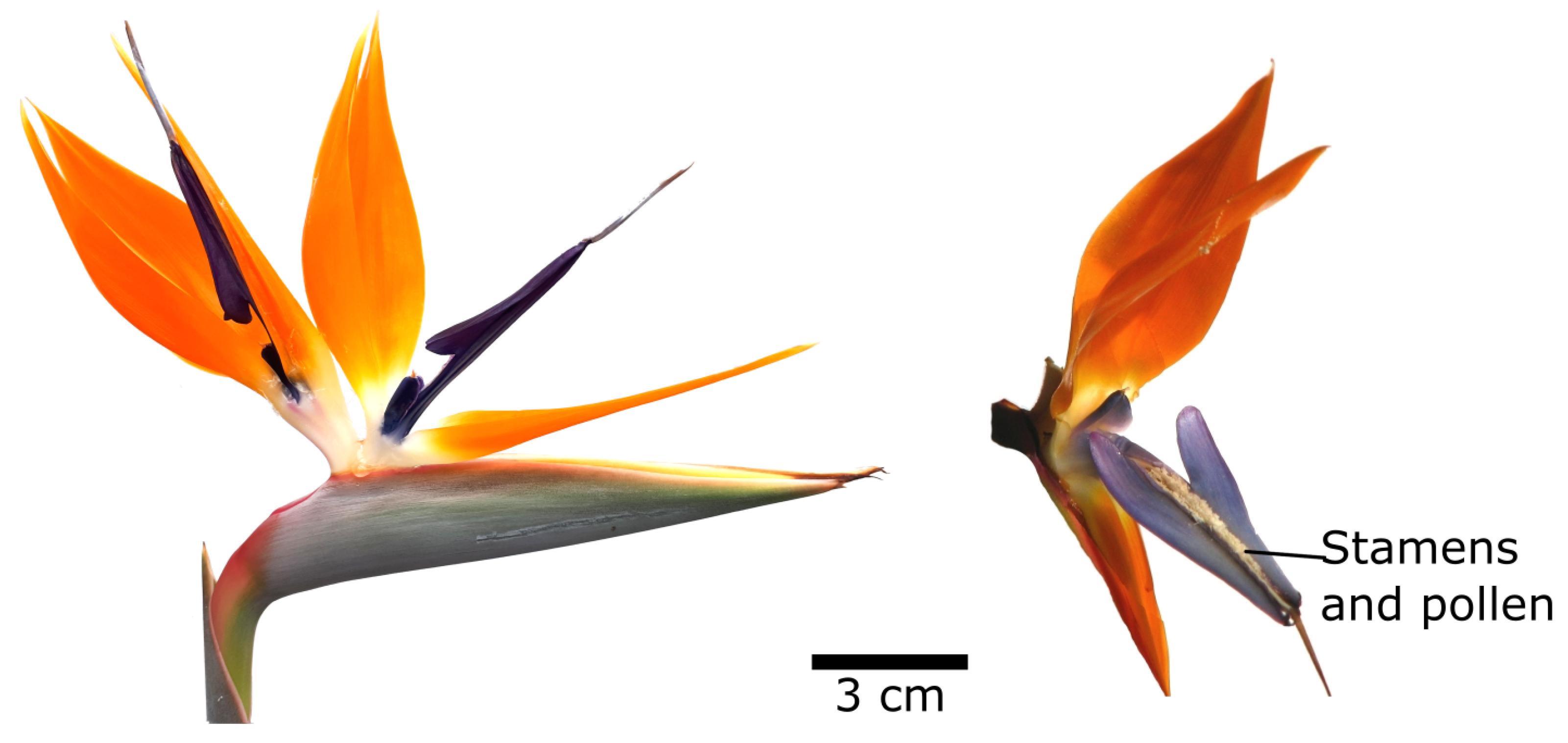 Biomimetics 08 00303 g019 Biomimetics 08 00303 g019