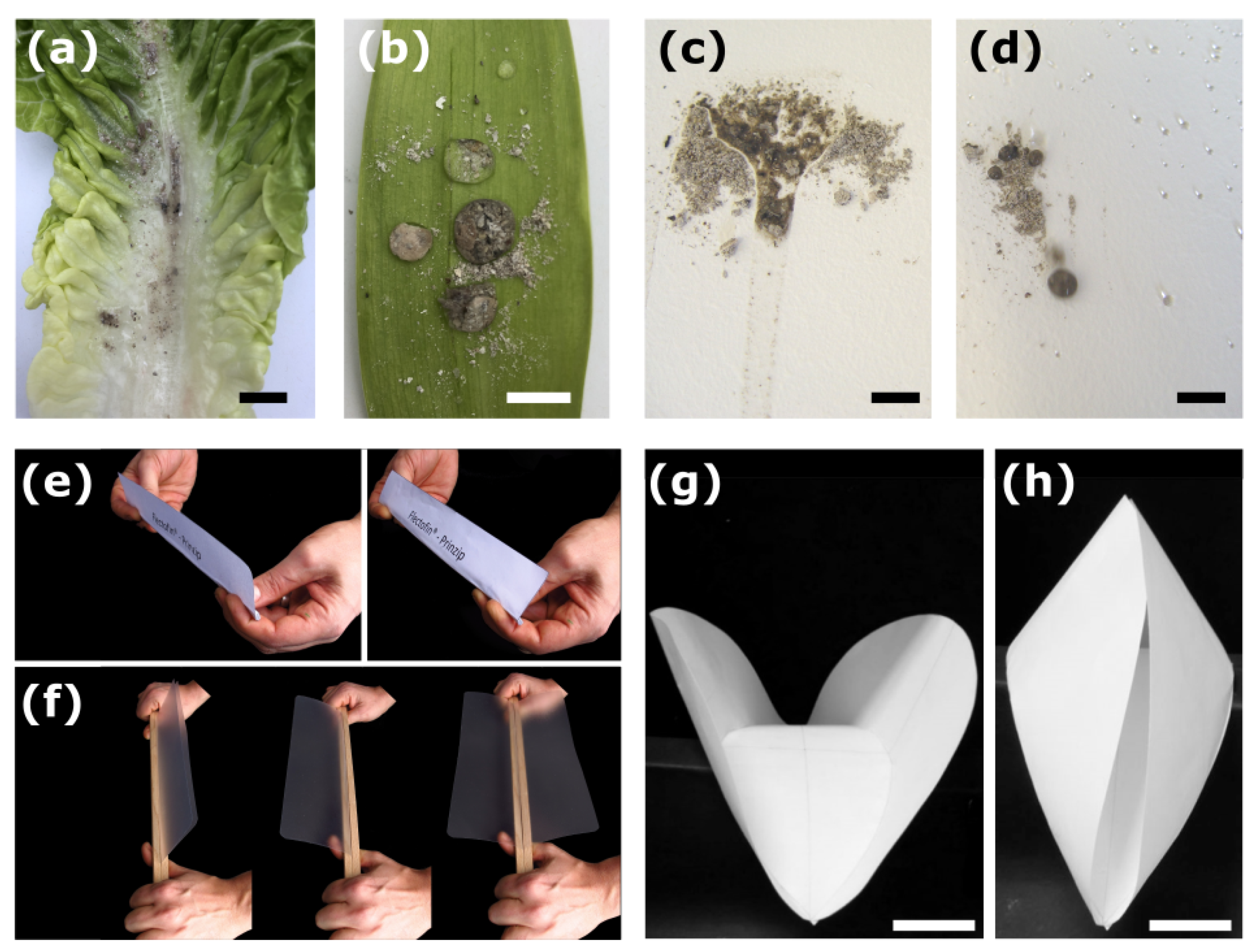 Biomimetics 08 00303 g023 Biomimetics 08 00303 g023
