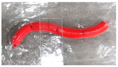 Biomimetics 08 00318 i002