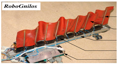 Biomimetics 08 00318 i022