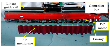Biomimetics 08 00318 i024