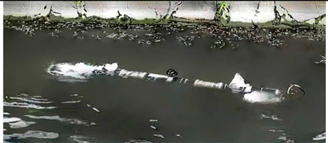 Biomimetics 08 00318 i027