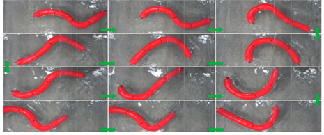 Biomimetics 08 00318 i028