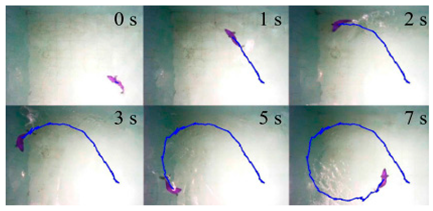 Biomimetics 08 00318 i029