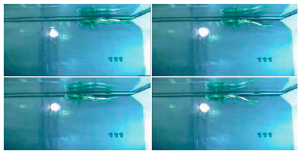 Biomimetics 08 00318 i031