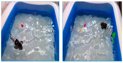 Biomimetics 08 00318 i035