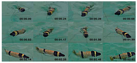 Biomimetics 08 00318 i038