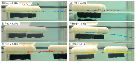 Biomimetics 08 00318 i043